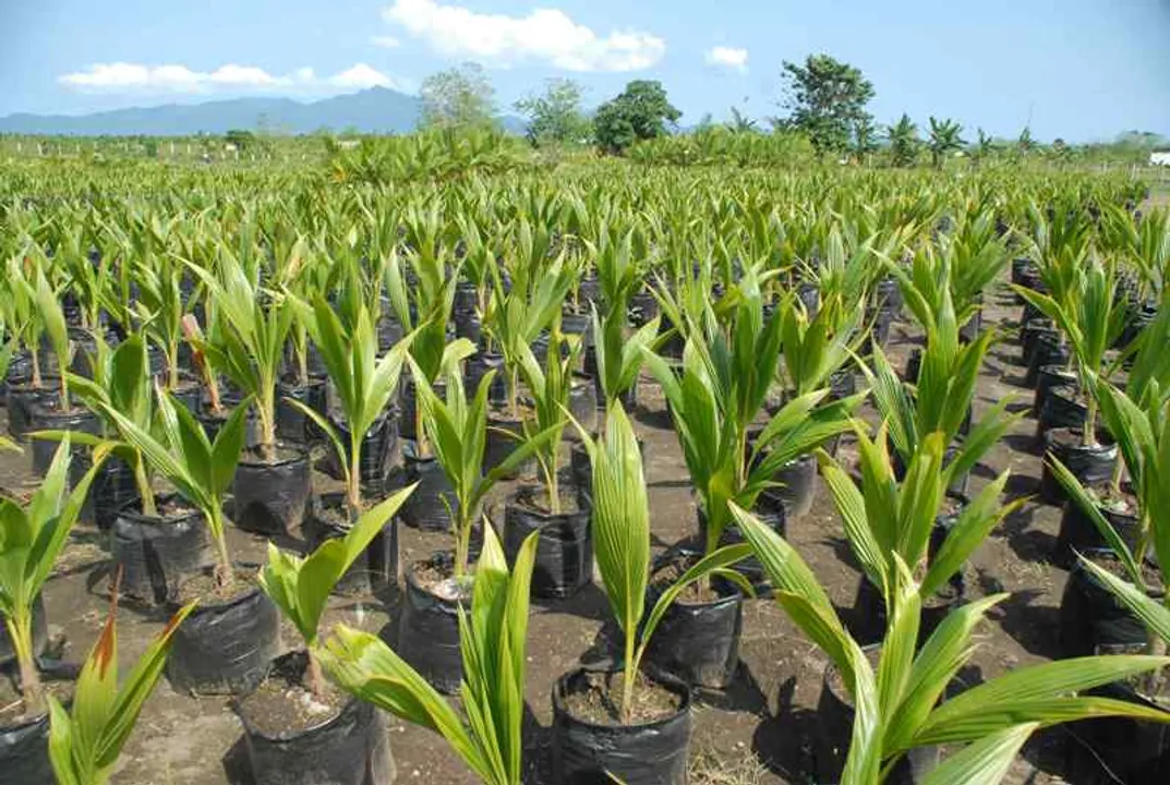  Agri Farming 