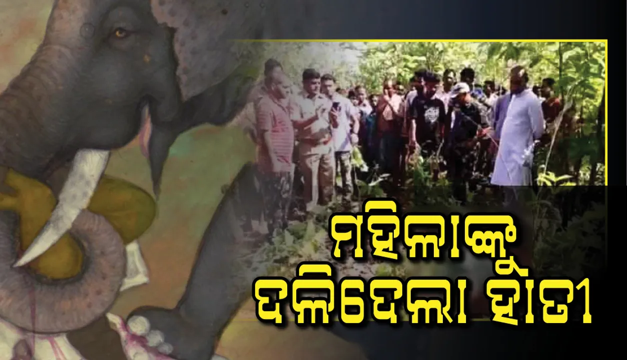  ଟୁଲ ସଂଗ୍ରହ ପାଇଁ ଜଙ୍ଗଲକୁ ଯାଇଥିବା ବେଳେ ହାତୀ ଆକ୍ରମଣରେ ମହିଳାଙ୍କ ମୃତ୍ୟୁ