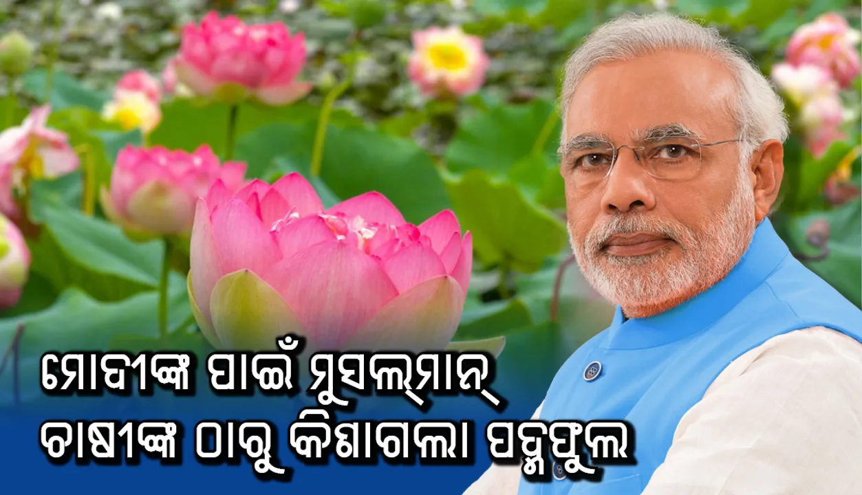  ମୋଦୀଙ୍କ ପାଇଁ ମୁସଲମାନ ଚାଷୀଙ୍କ ପାଖରୁ କିଣାଗଲା ପଦ୍ମଫୁଲ