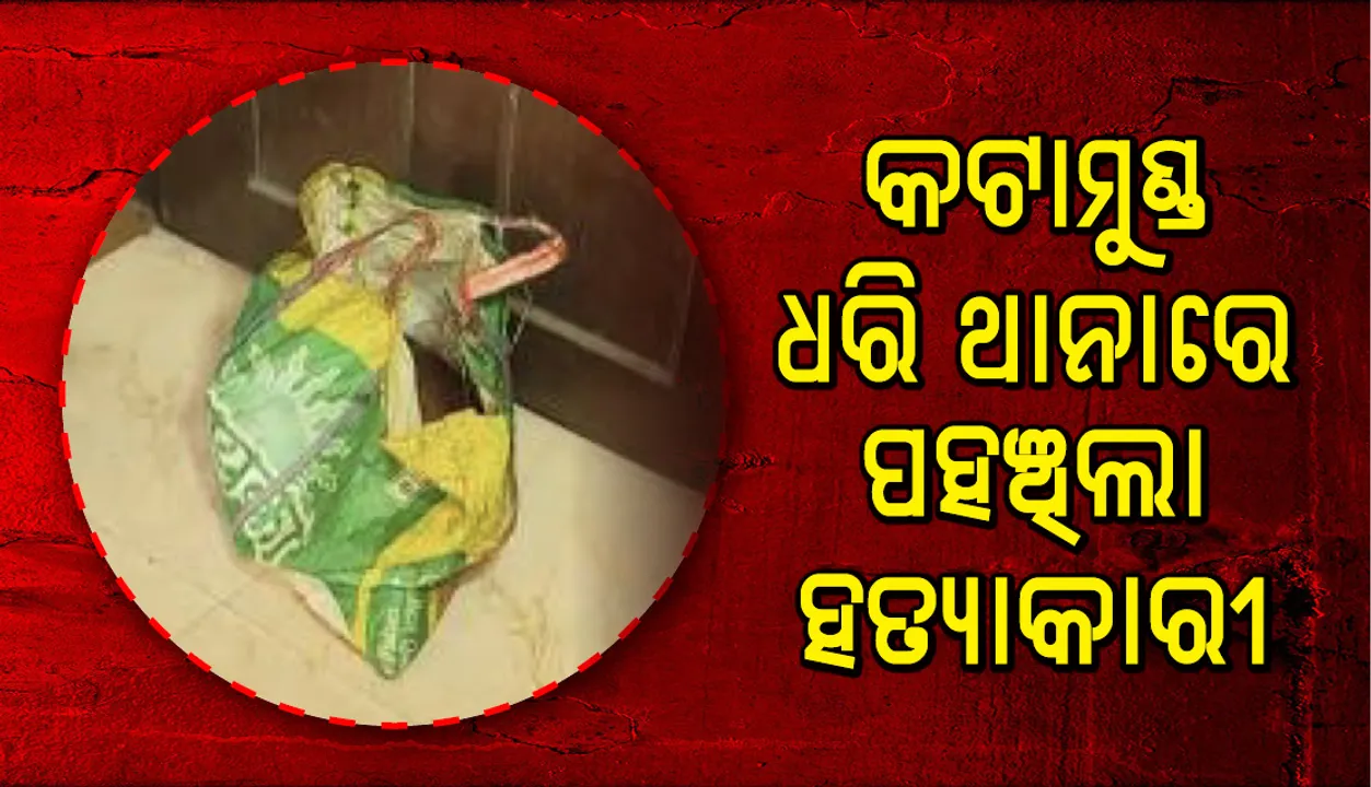  କଟାମୁଣ୍ଡ ଧରି ଥାନାରେ ପହଞ୍ଚିଲା ସମ୍ପର୍କୀୟ ଭାଇ, ସକାଳେ ମୁଣ୍ଡ-ଗଣ୍ଡି କରିଦେଇଥିଲା ଅଲଗା