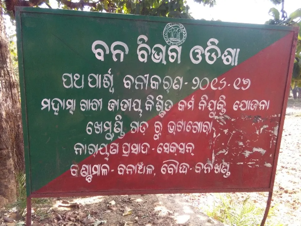  ବନୀକରଣରେ ବ୍ୟାପକ ଅନିୟମିତତା ଅଭିଯୋଗ, ତଦନ୍ତ କଲେ ଏସିଏଫ୍