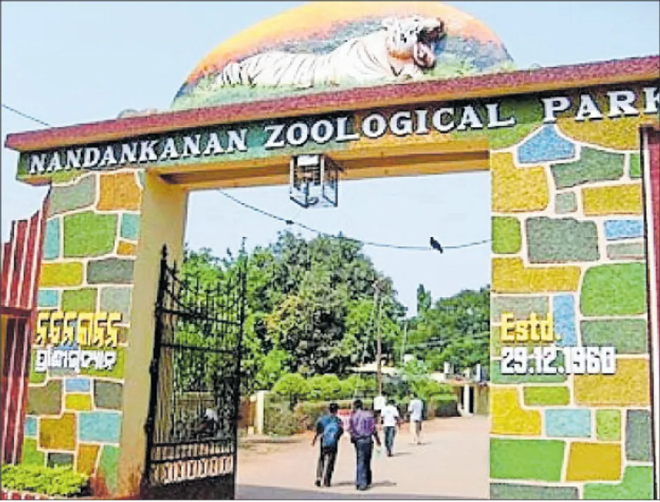 ନନ୍ଦନକାନନ ସଂପ୍ରସାରଣ, ଘୋଷଣାରେ ସୀମିତ...