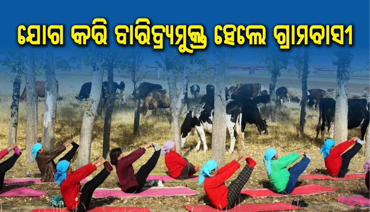  ଯୋଗ କରି ଦାରିଦ୍ର୍ୟମୁକ୍ତ ହେଲେ ଚୀନ୍‌ର ୨୬୦ ଜଣ ଗ୍ରାମବାସୀ