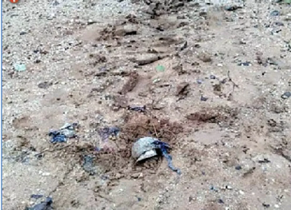  ବଜ୍ରପାତରେ ୫୦ରୁ ଊର୍ଧ୍ବ ଲ୍ୟାଣ୍ଡମାଇନ‌୍ ବିସ୍ଫୋରଣ