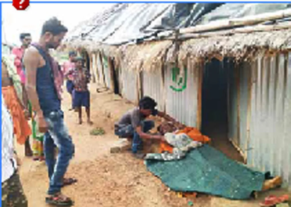  ଭିଶୋଇର ଟାଙ୍ଗିଆ ଚୋଟରେ ଶଳାର ପ୍ରାଣ ଗଲା
