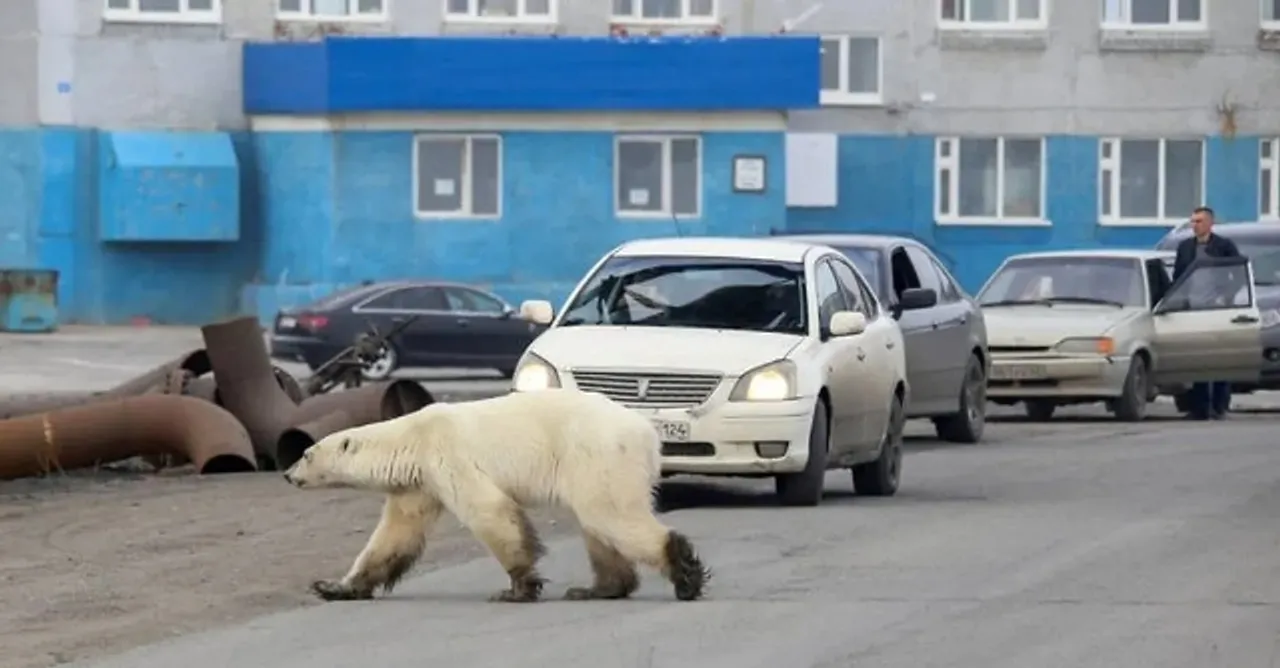  Image Source: Reuters  