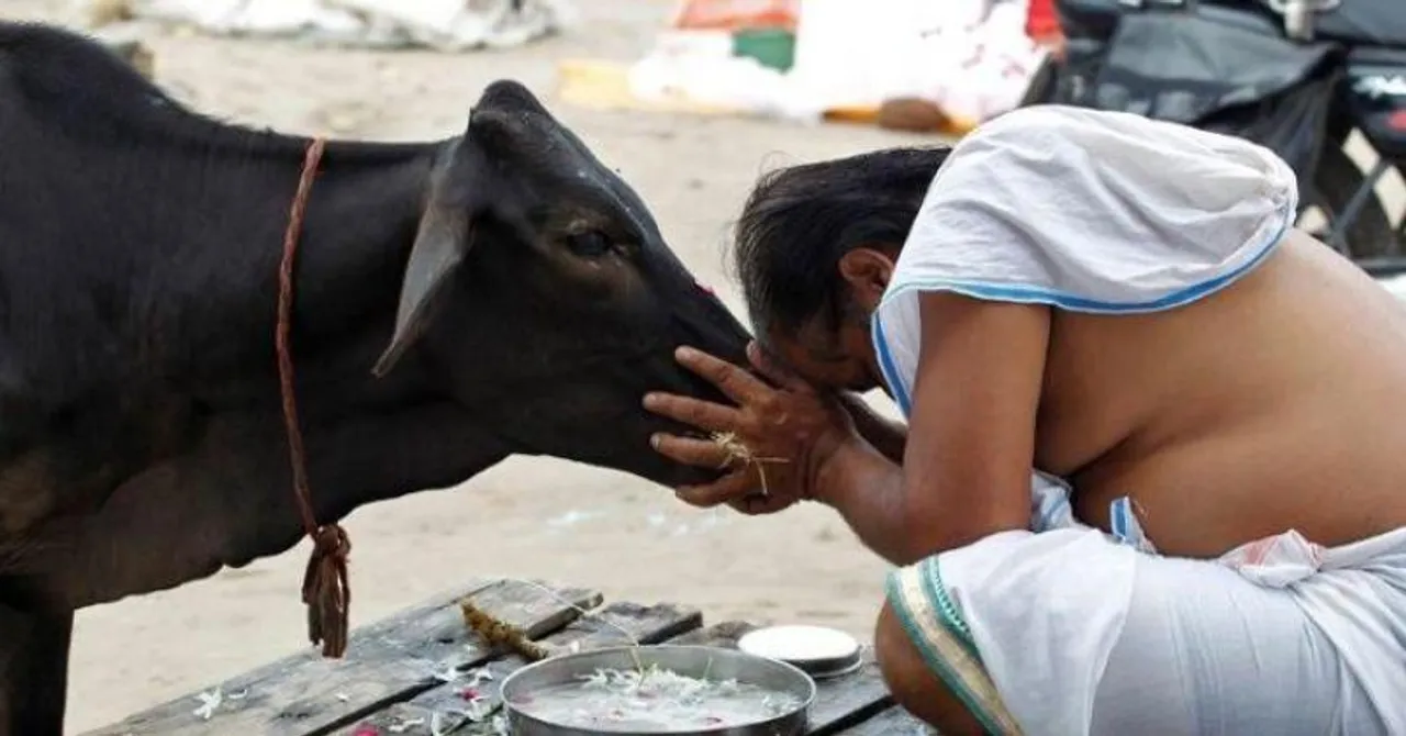  indiatimes.com 