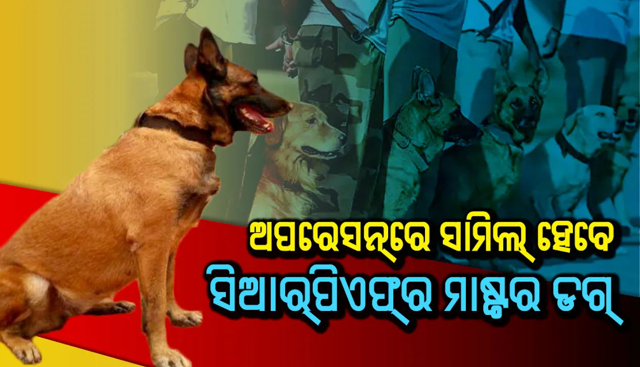 ରାୟଗଡ଼ାରେ ସିଆରପିଏଫ୍ ଡିଆଇଜି, ଅପରେସନ୍‌ରେ ସାମିଲ୍ ହେବେ ତାଲିମପ୍ରାପ୍ତ ମାଷ୍ଟର ଡଗ୍