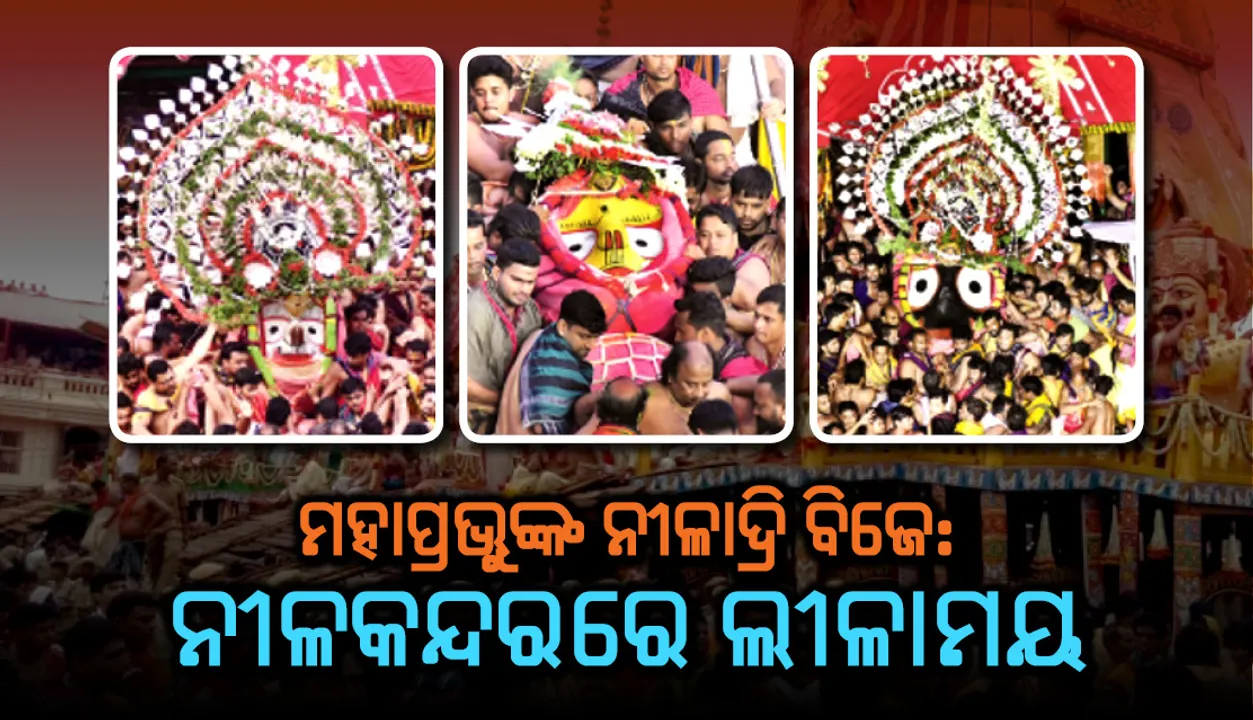  ମହାପ୍ରଭୁଙ୍କ ନୀଳାଦ୍ରି ବିଜେ : ନୀଳକନ୍ଦରରେ ଲୀଳାମୟ