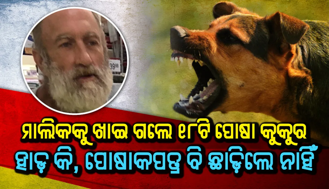  ମାଲିକକୁ ଖାଇ ଗଲେ ୧୮ଟି ପୋଷା କୁକୁର; ହାଡ଼ କି, ପୋଷାକପତ୍ର ବି ଛାଡ଼ିଲେ ନାହିଁ