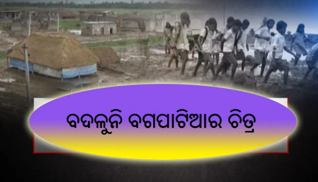  ବଦଳୁନି କେନ୍ଦ୍ରାପଡା ବଗପାଟିଆର ଚିତ୍ର : ପାଣି କାଦୁଅ ଭିତରେ ଜୀବନ ବିତାଉଛନ୍ତି ସାତଭାୟାବାସୀ