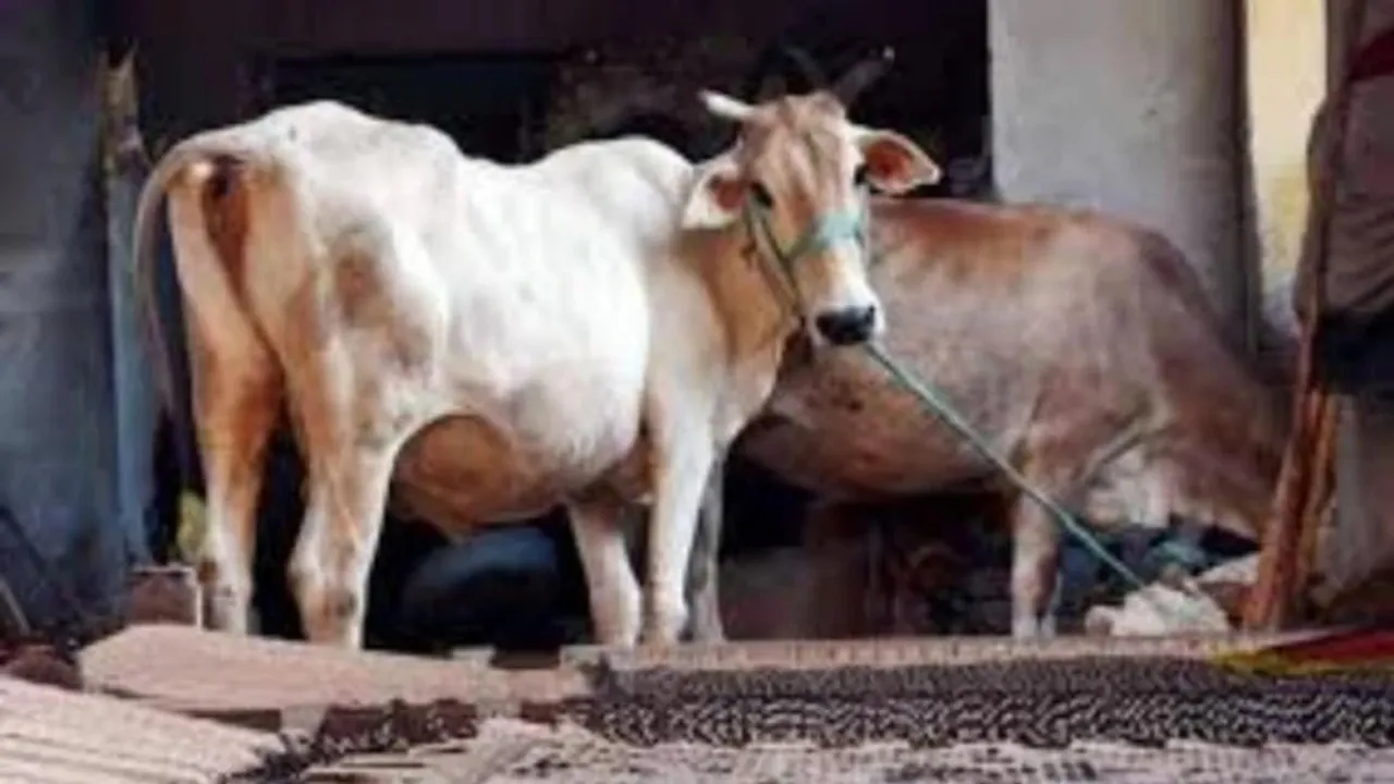  Image Source: India Today 