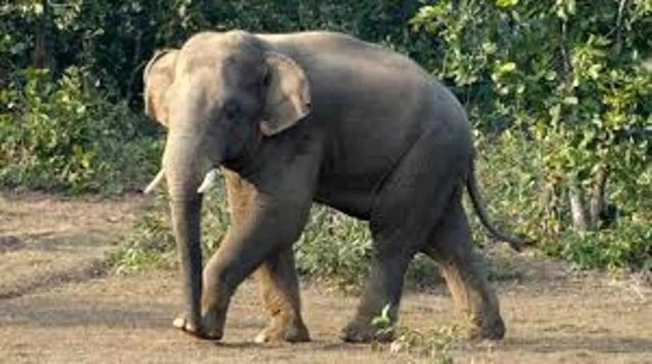  ODISHA STORY 