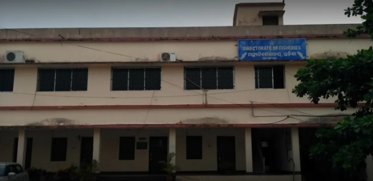  ମତ୍ସ୍ୟ ବିଭାଗରେ ୫୦୦ ପଦବି ଖାଲି : ୪ ମାସ ହେଲା ନାହାନ୍ତି ସ୍ଥାୟୀ ନିର୍ଦ୍ଦେଶକ, ୨ ବର୍ଷ ହେଲା ଦୁଇ ଅତିରିକ୍ତ ନିର୍ଦ୍ଦେଶକ ପଦ ଫାଙ୍କା