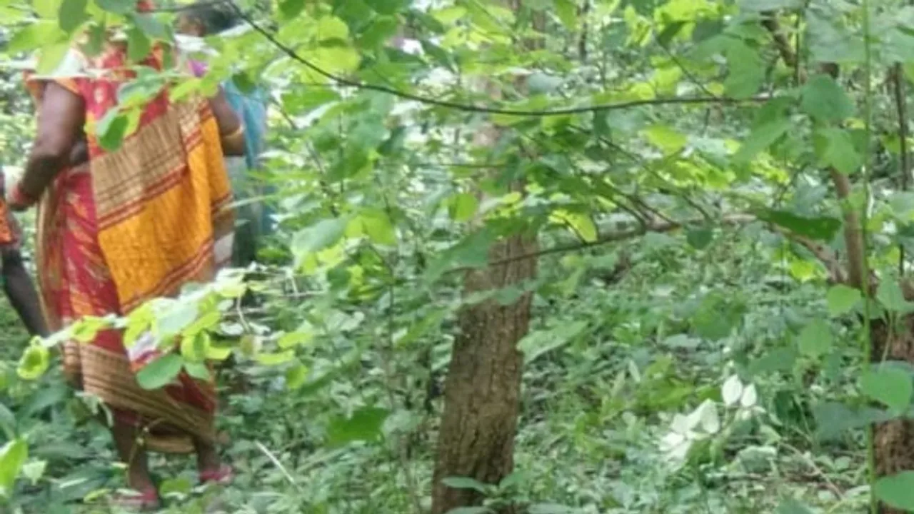  ଝାରସୁଗୁଡ଼ା: ଖଣିଜଙ୍ଗଲ ପାହାଡ଼ର କରଡ଼ାଗଛରେ ମହିଳାଙ୍କ ଝୁଲନ୍ତା ଶବ