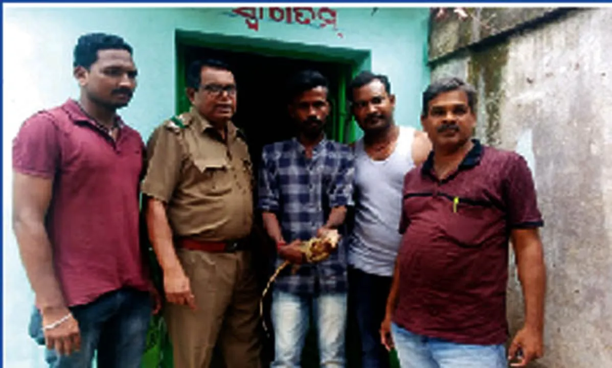  ଘରୁ ଉଦ୍ଧାର ହେଲା ଗୋଧି