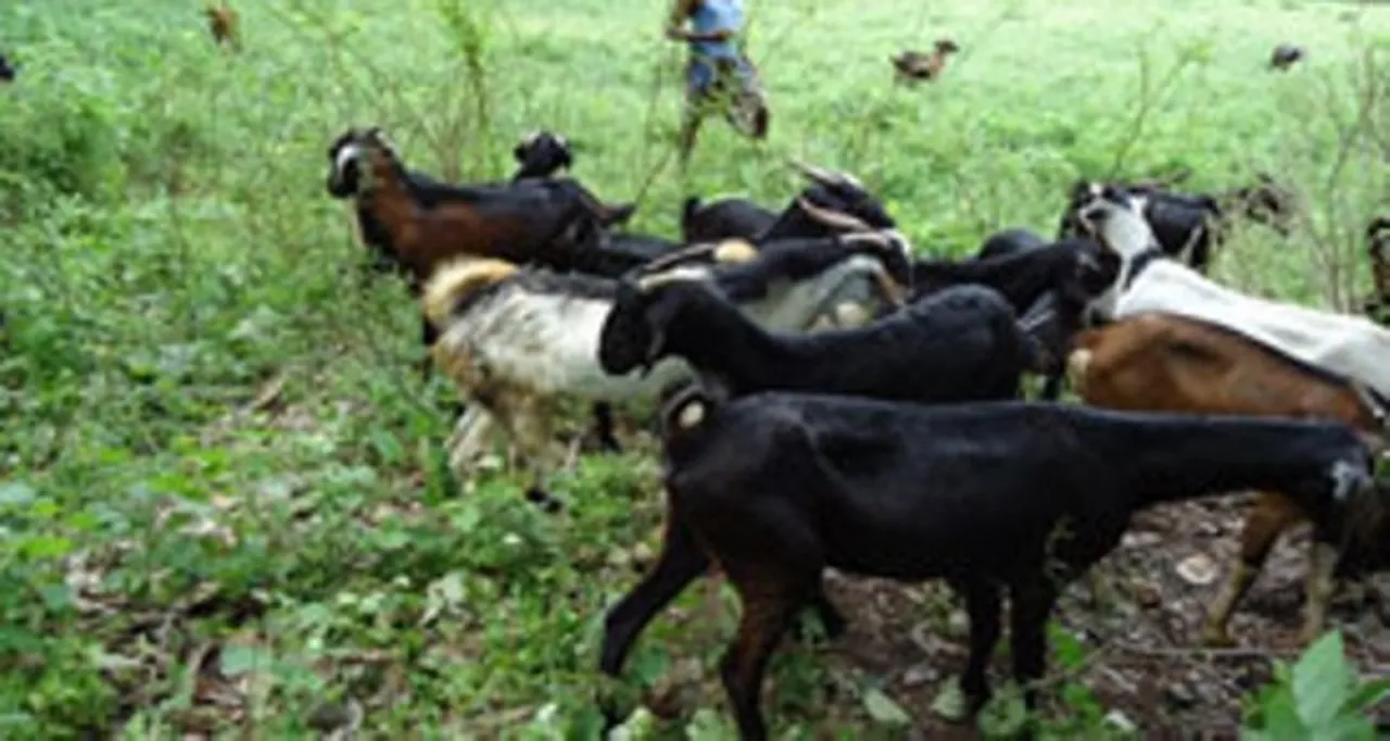  BAIF Odisha 