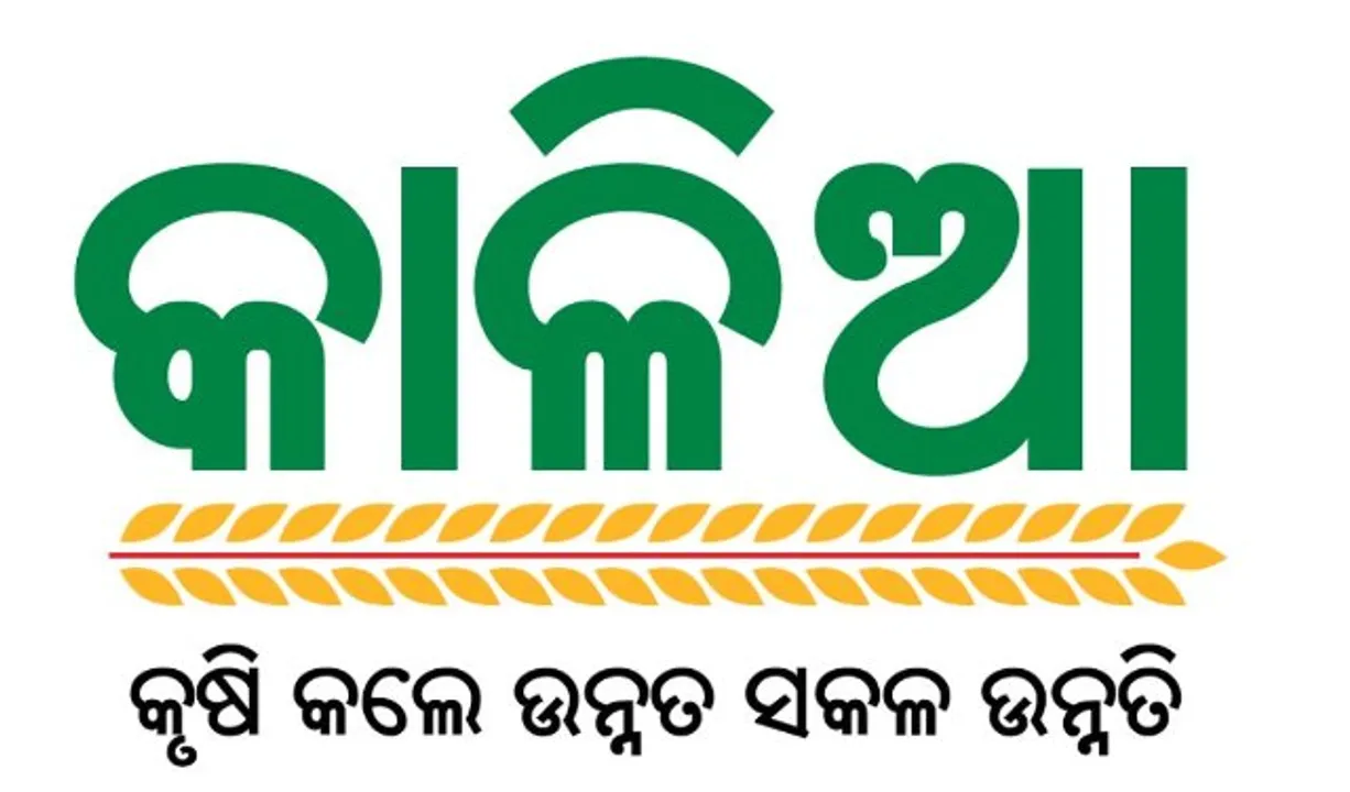  କାଳିଆ ଯୋଜନା ଟଙ୍କା ୨୦,୦୦୦ ସରକାରୀ କର୍ମଚାରୀ ଓ ପେନସନଭୋଗୀଙ୍କ ଆକାଉଣ୍ଟକୁ ବି ଯାଇଛି