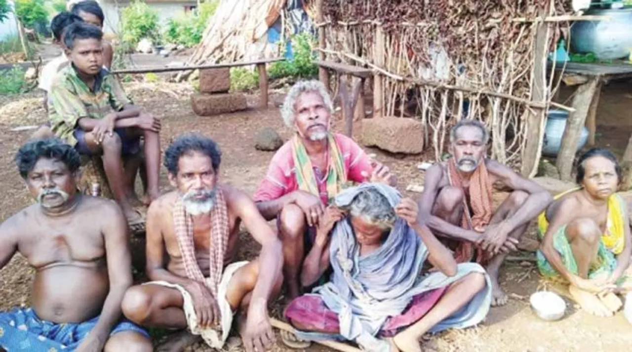  ଏବେ ବି ସମାଜର ମୁଖ୍ୟସ୍ରୋତରେ ସାମିଲ ହୋଇପାରିନାହାନ୍ତି ମାଙ୍କେଡ଼ିଆ ଜନଜାତି!