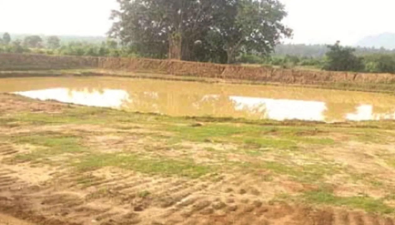  ଯାଜପୁରରେ କ୍ଷେତ ପୋଖରୀ ଯୋଜନା ବିଫଳ