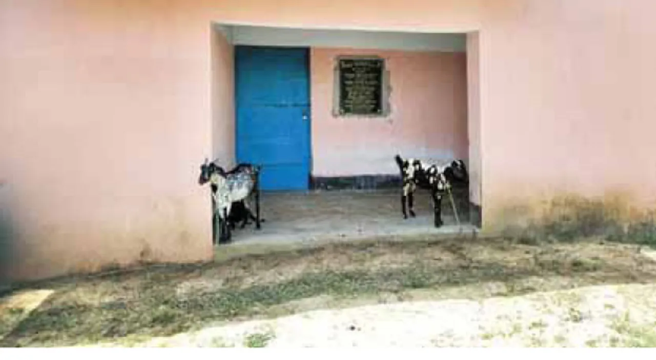  ଅଙ୍ଗନବାଡ଼ି କେନ୍ଦ୍ର ପାଲଟିଛି ଛେଳି ଗୁହାଳ, ଉଦ୍‌ଘାଟନର ୫ ମାସ ପରେ ସ୍ଥାନାନ୍ତର ହେଉନି କେନ୍ଦ୍ର