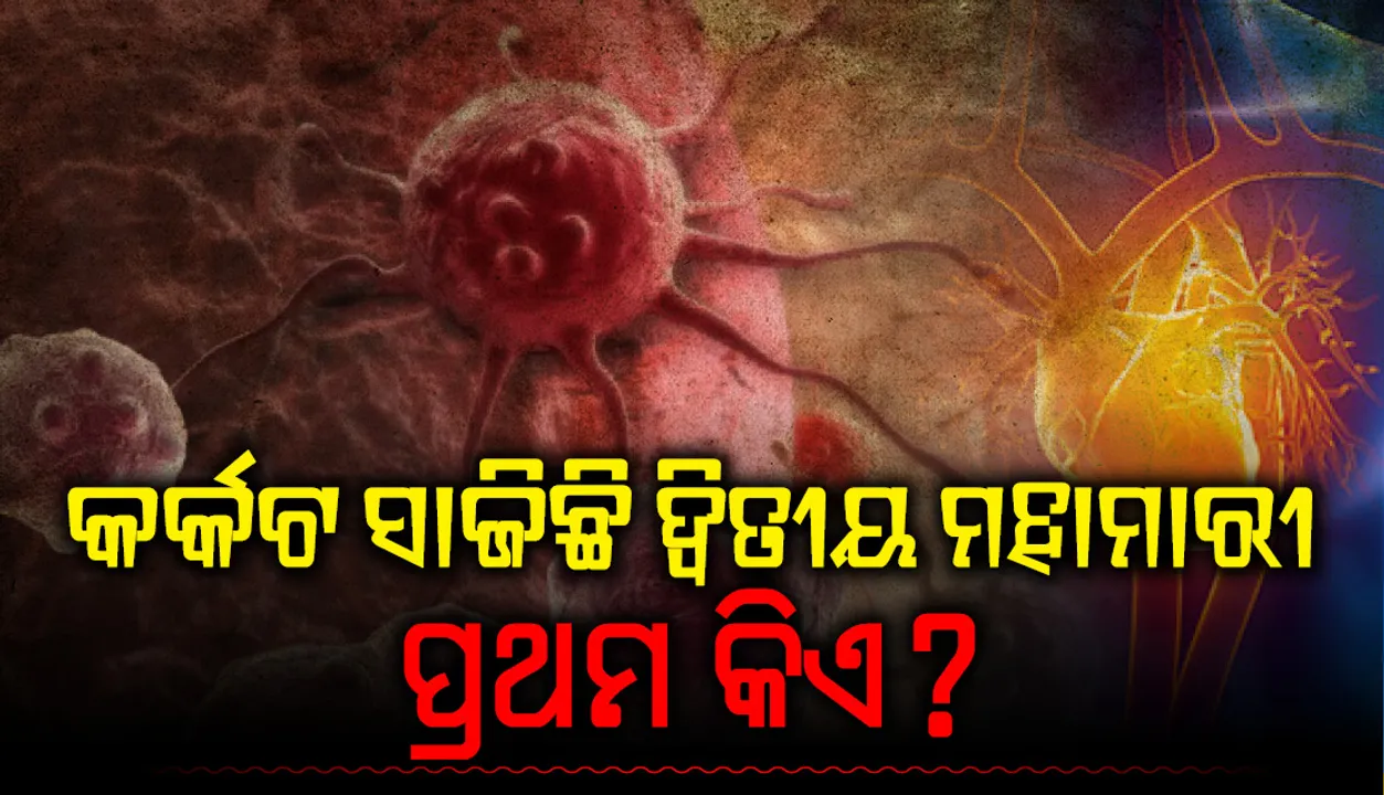  ସବୁଠାରୁ ଅଧିକ ଜୀବନ ନେଉଥିବା ରୋଗ ଭିତରେ କର୍କଟ ଦ୍ୱିତୀୟ, ଆଉ କିଛି ବର୍ଷ ମଧ୍ୟରେ ପ୍ରଥମ ପାଲଟିବ!