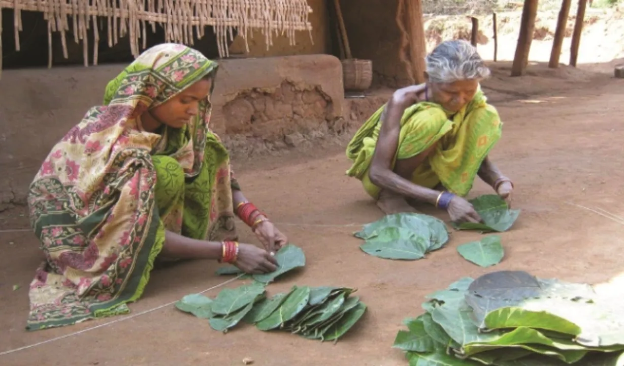  ସର୍ବନିମ୍ନ ମୌଳିକ ସୁବିଧା ସୁଯୋଗରୁ ବଞ୍ଚିତ ଆଦିବାସୀ ବହୁଳ ଗାଁ ‘ନେପାଳ’, ସ୍ୱାଧୀନତାର ୭୨ ବର୍ଷ ପରେ ବି ଏହି ଗାଁକୁ ନିତିଦିନିଆ ରାସ୍ତା ନାହିଁ କି ବିଜୁଳି ଆଲୁଅ ନାହିଁ