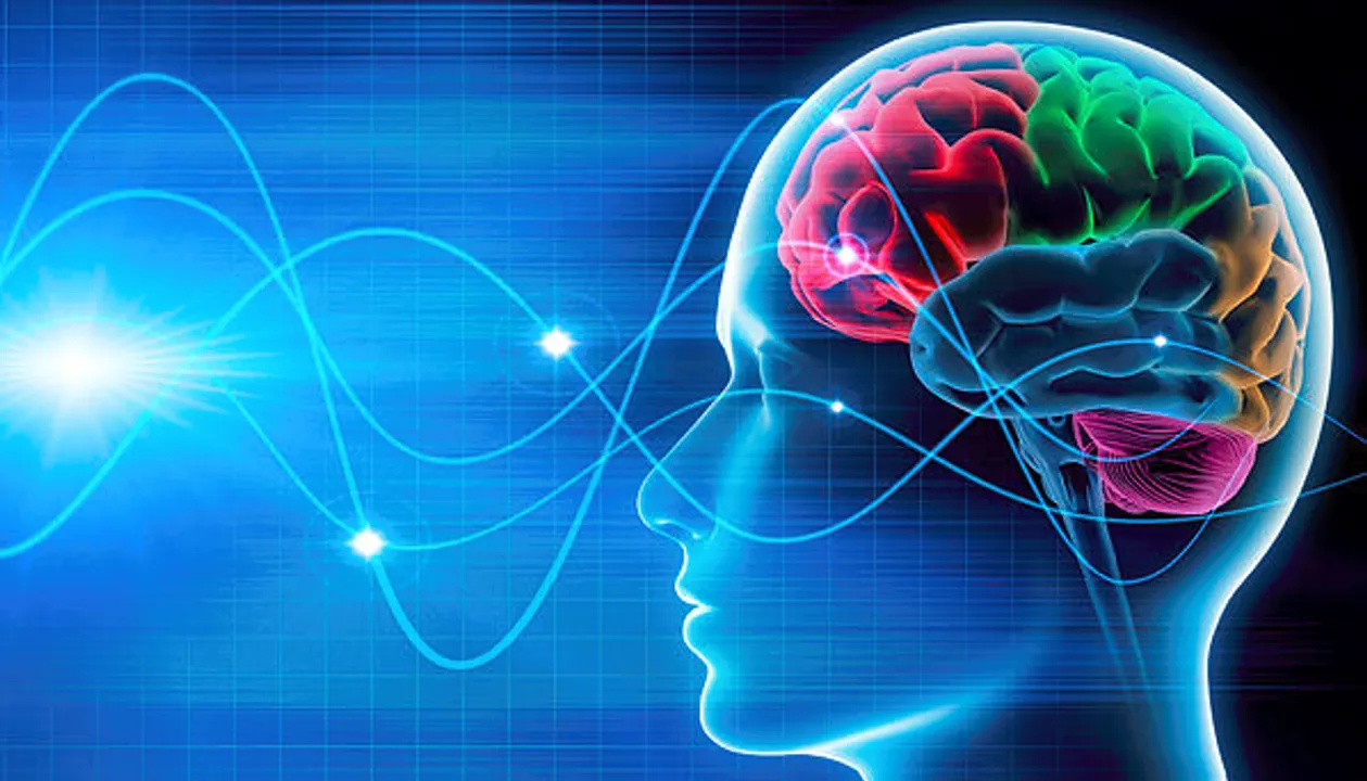  blogs.biomedcentral.com 