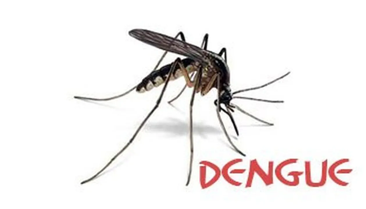  photo-oneindia 