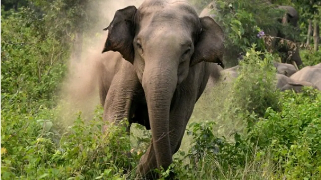  image source-sentinelassam.com 