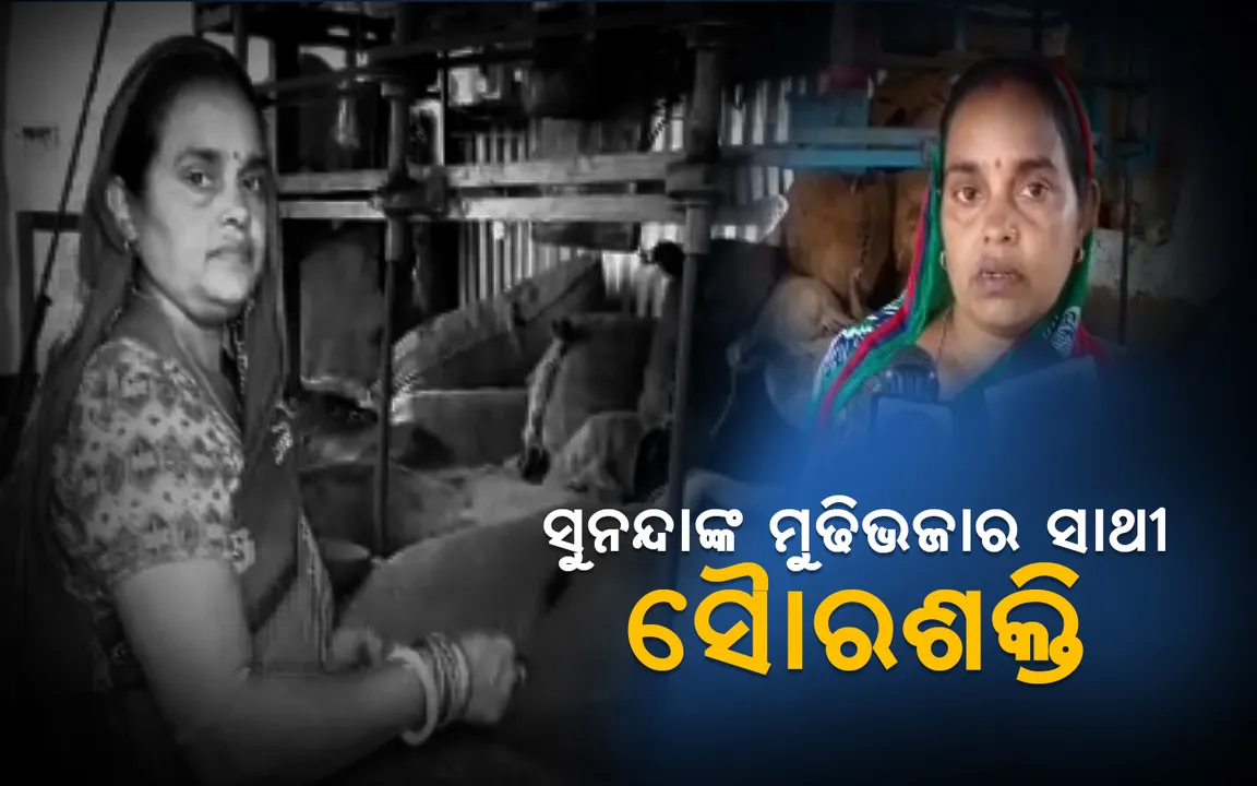  ସୁନନ୍ଦାଙ୍କ ମୁସୁମୁସିଆ ମୁଢ଼ି ଭଜାକୁ  ଆଉ ରୋକି ପାରୁନି ବିଜୁଳି କାଟ୍ ! ଏବେ ସେ ପୂରା ସ୍ବାବଲମ୍ବୀ, ଶକ୍ତିରେ ଓ ରୋଜଗାରରେ...