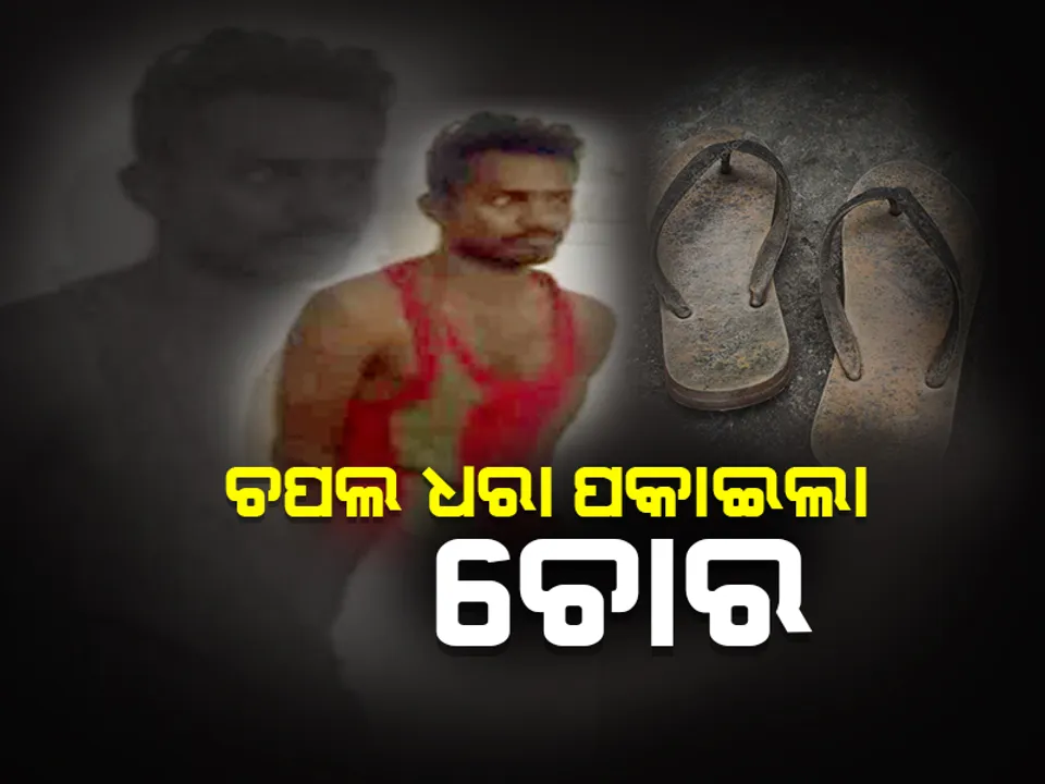  ଚମ୍ପଟ ମାରିଥିବା ଚୋରକୁ ଧରା ପକାଇଲା ଚପଲ ! ଧରିଲା ପୁଲିସ କୁକୁର