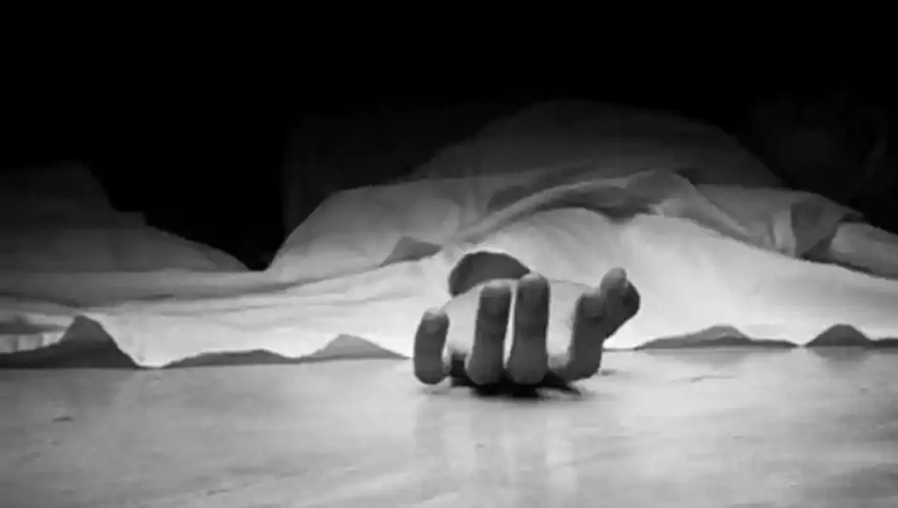  ବଡ଼ବାପାଙ୍କୁ ହତ୍ୟା କରି ପୁତୁରା ଫେରାର