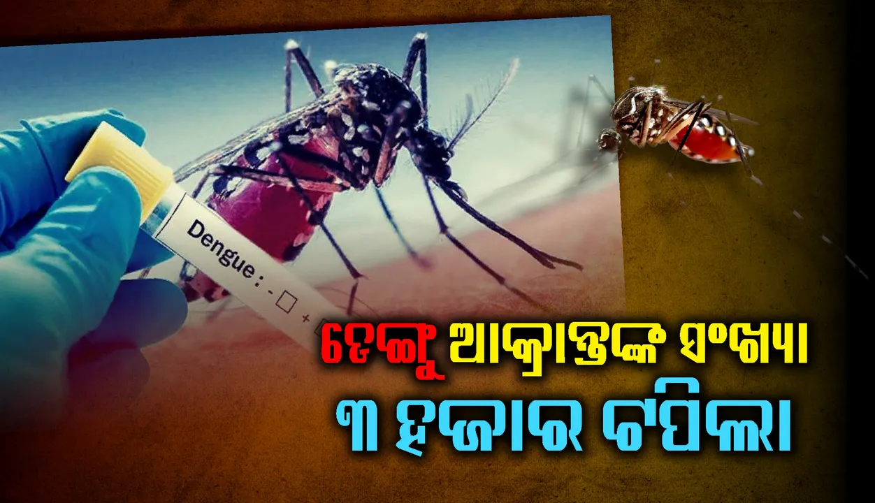  ରାଜ୍ୟରେ ଡେଙ୍ଗୁ ଆକ୍ରାନ୍ତଙ୍କ ସଂଖ୍ୟା ୩ ହଜାର ଟପିଲା