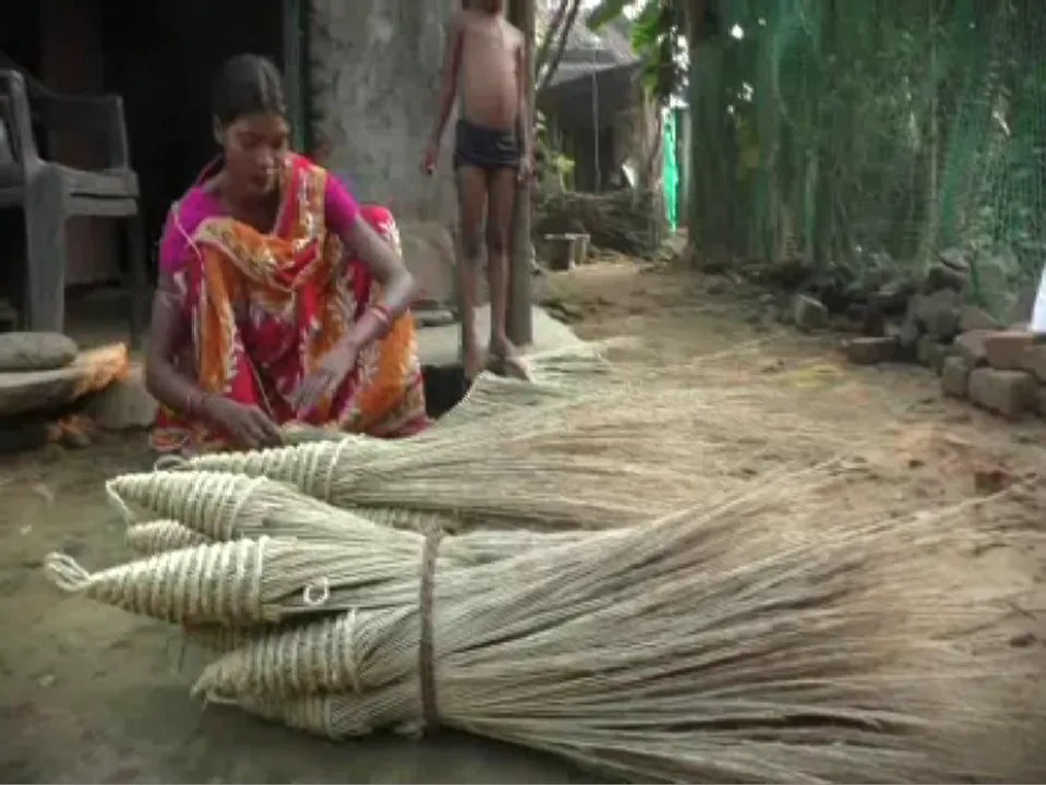  ଝାଡୁ ପ୍ରସ୍ତୁତ କରି ଏବେ ସ୍ୱାବଲମ୍ବୀ ହୋଇପାରିଛନ୍ତି ଏହି ଗାଁର ୧୫୦ ପରିବାର