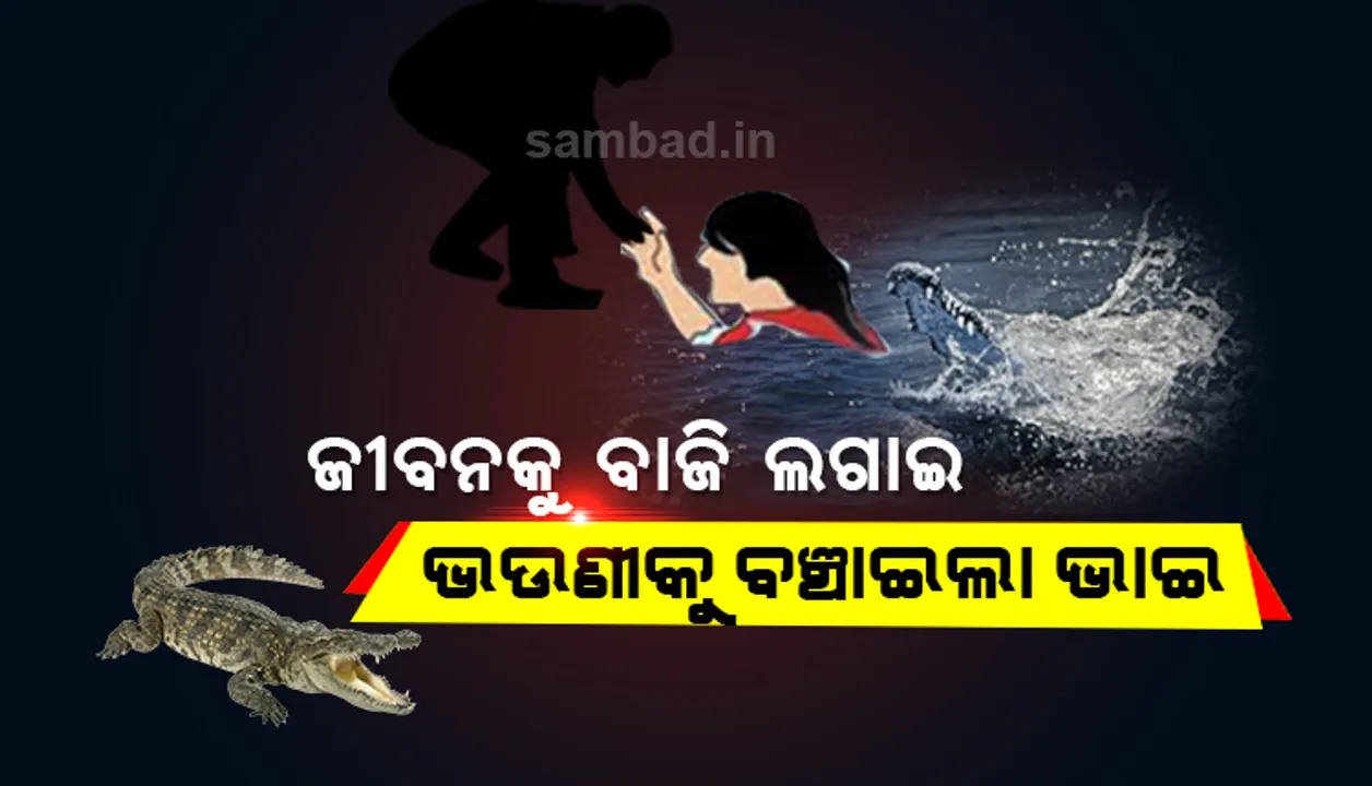  କୁମ୍ଭୀର ଟାଣି ନେଉଥିବା ବେଳେ ଜୀବନକୁ ବାଜି ଲଗାଇ ଭଉଣୀକୁ ବଞ୍ଚାଇଲା ଭାଇ