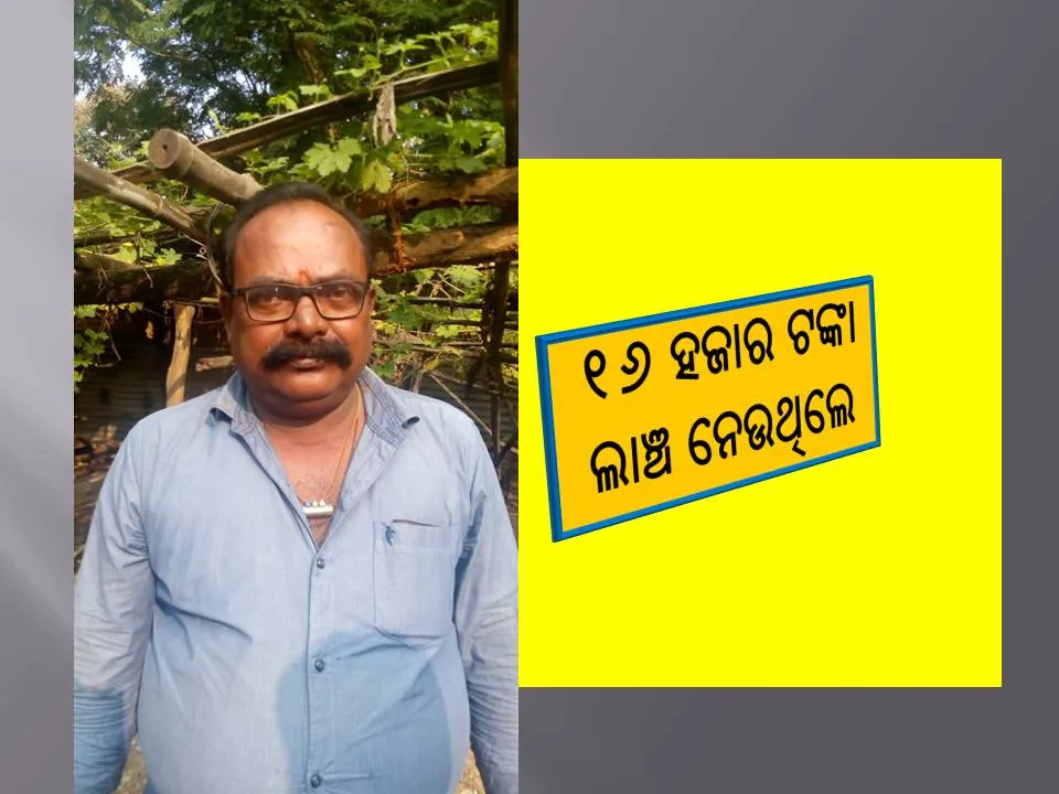  ୧୬ ହଜାର ଟଙ୍କା ଲାଞ୍ଚ ନେଉଥିବା ବେଳେ ଧରାପଡ଼ିଲେ ବନ ନିଗମ ସୁପରଭାଇଜର