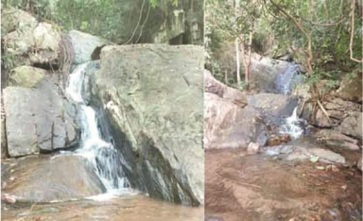  ପ୍ରାକୃତିକ ସୌନ୍ଦର୍ଯ୍ୟ ପ୍ରତି ଅବହେଳା : ଦୃଷ୍ଟି ଆଢ଼ୁଆଳରେ ଓଡ଼ଗାଁ ବ୍ଲକ୍‌ର ଜାକଡ଼ା ଗ୍ରାମ ନିକଟସ୍ଥ କଦମ୍ବା ଝରଣା