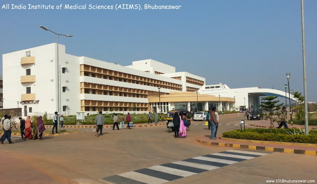  bhubaneswar.com 