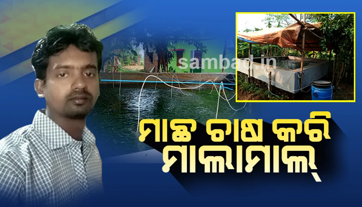  ଇଂଜିନିୟରିଂ ପାଠ ସାରି ବାୟୋ-ଫ୍ଲୋକ ପ୍ରଣାଳୀରେ ମାଛ ଚାଷ କରି ମାଲାମାଲ୍ ହେଲେ ପ୍ରକାଶ