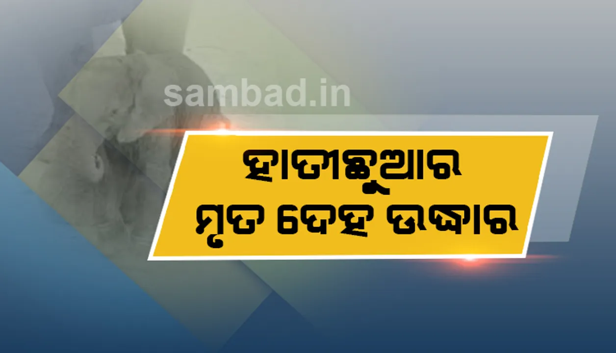  ହାତୀଛୁଆର ମୃତଦେହ ଉଦ୍ଧାର, ଦନ୍ତା ସହ ସଂଘର୍ଷରେ ମୃତ୍ୟୁ ସନ୍ଦେହ