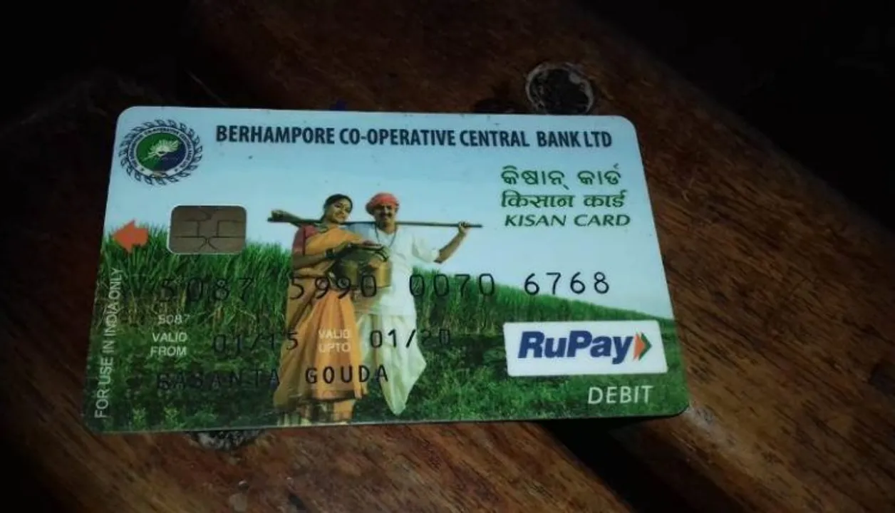  ପୁଣି ଧରାପଡ଼ିଲେ ୫ ଜଣ ଜାଲ ଶିକ୍ଷକ