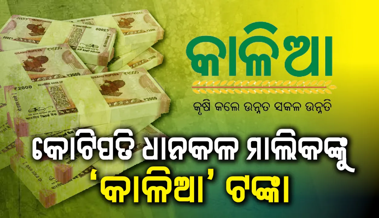 କୋଟିପତି ଧାନକଳ ମାଲିକଙ୍କୁ ‘କାଳିଆ’ ଟଙ୍କା