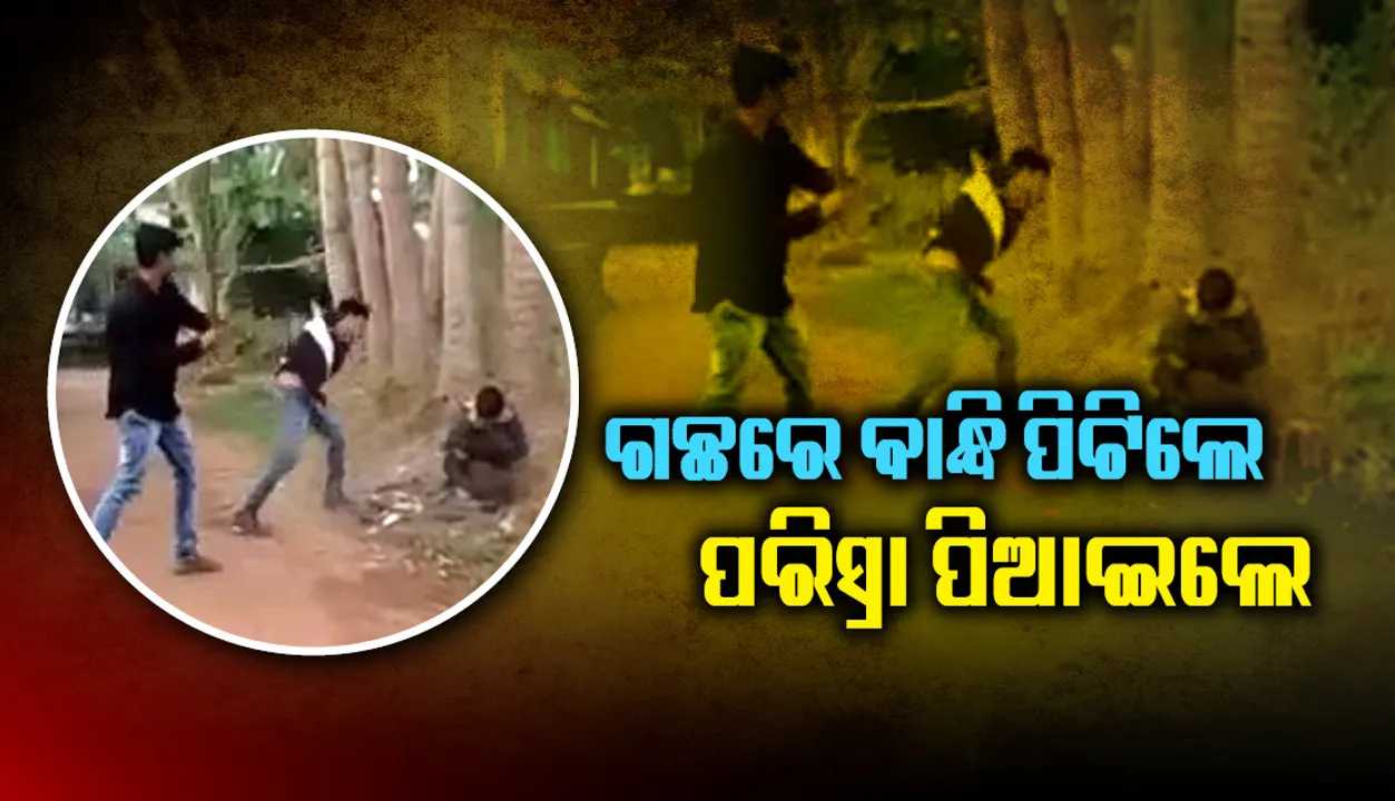  ଅମାନୁଷିକ ! ଯୁବକଙ୍କୁ ଗଛରେ ବାନ୍ଧି ନିସ୍ତୁକ ପିଟିଲେ, ଶୋଷ ହେବାରୁ ପରିସ୍ରା ପିଆଇଲେ ୨ ଯୁବକ