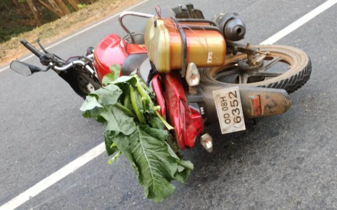 ଅଜଣା ଗାଡି ଧକ୍କାରେ ଦୁଇ ଜଣଙ୍କ ମୃତ୍ୟୁ