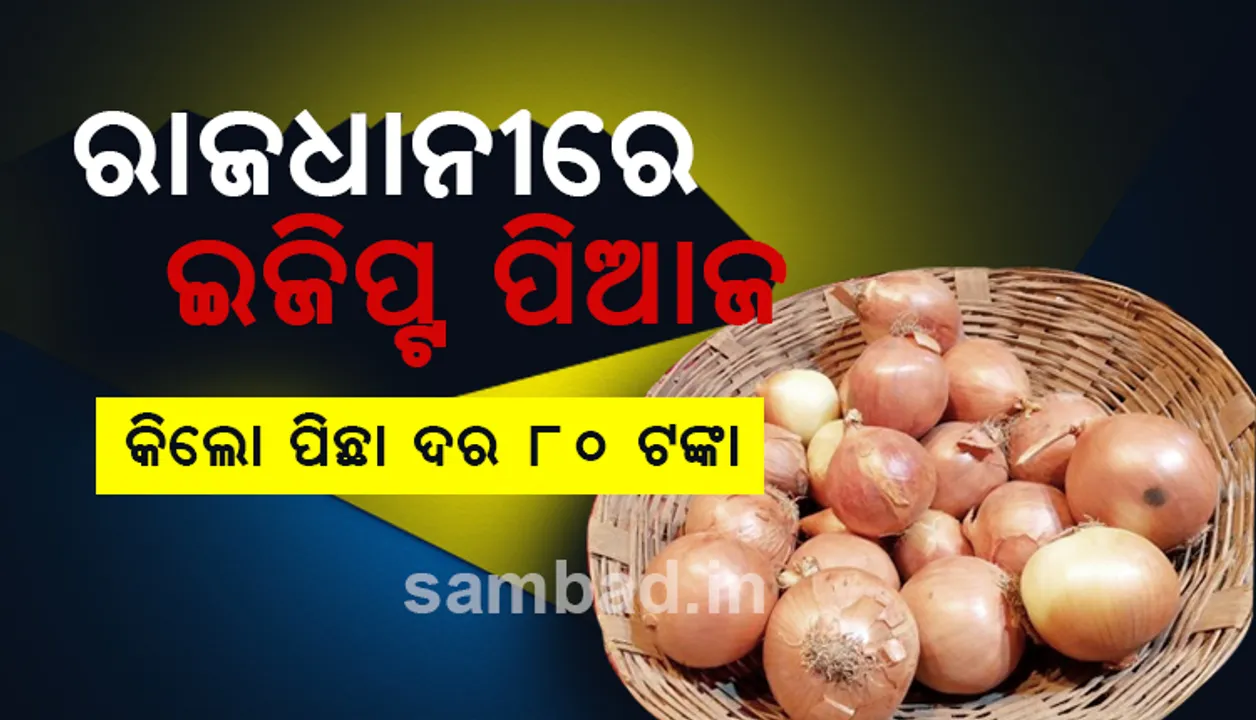  ରାଜଧାନୀରେ ଇଜିପ୍ଟ ପିଆଜ : ପାଇକାରୀ ଖସିଲା, ଖସିଲାନି ଖୁଚୁରା ଦର