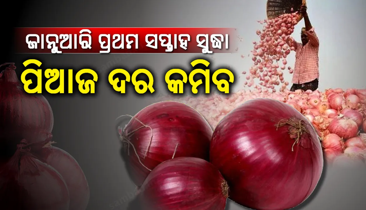 ଜାନୁଆରି ପ୍ରଥମ ସପ୍ତାହ ସୁଦ୍ଧା ପିଆଜ ଦର କମିବ: ଯୋଗାଣ ମନ୍ତ୍ରୀ