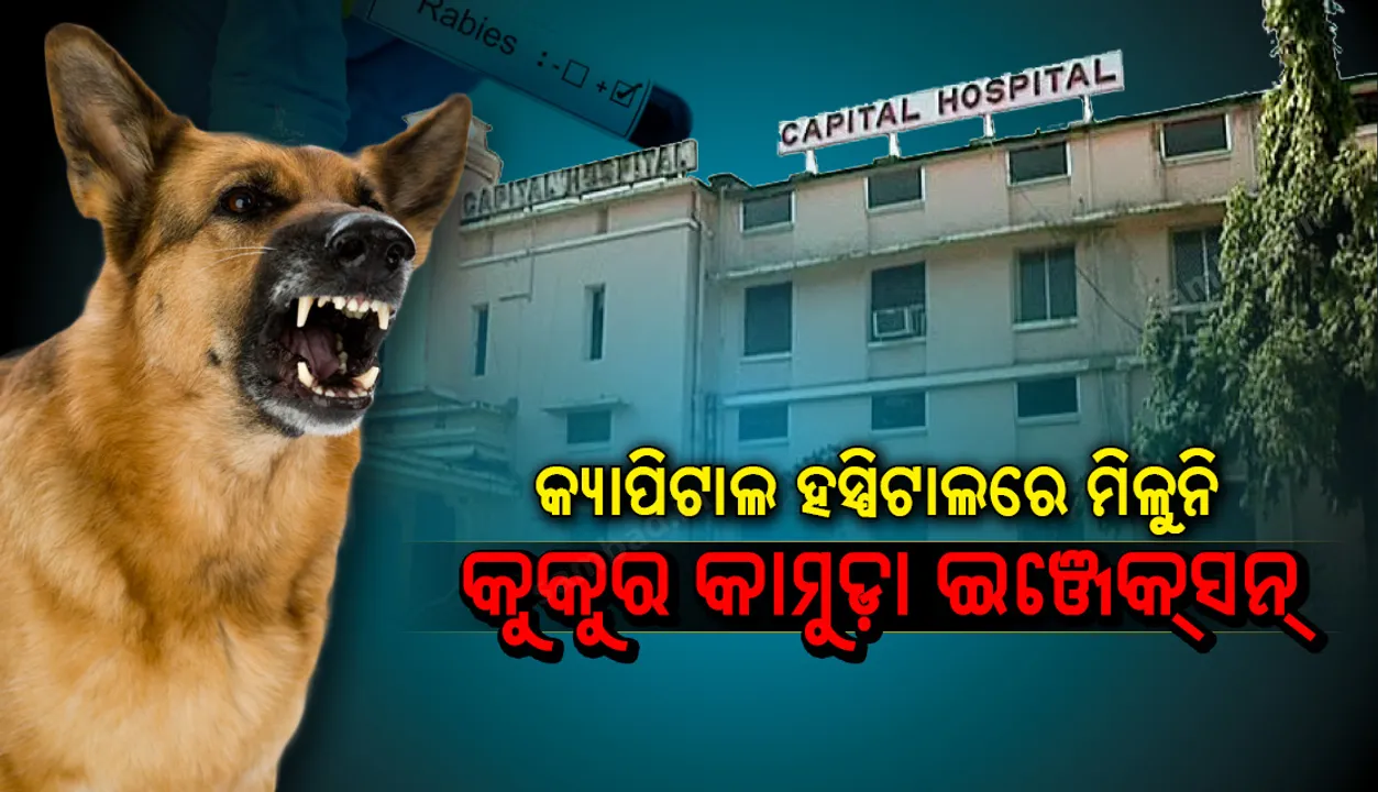  କ୍ୟାପିଟାଲ ହସ୍ପିଟାଲରେ ମିଳୁନି କୁକୁର କାମୁଡ଼ା ଇଞ୍ଜେକସନ୍‌