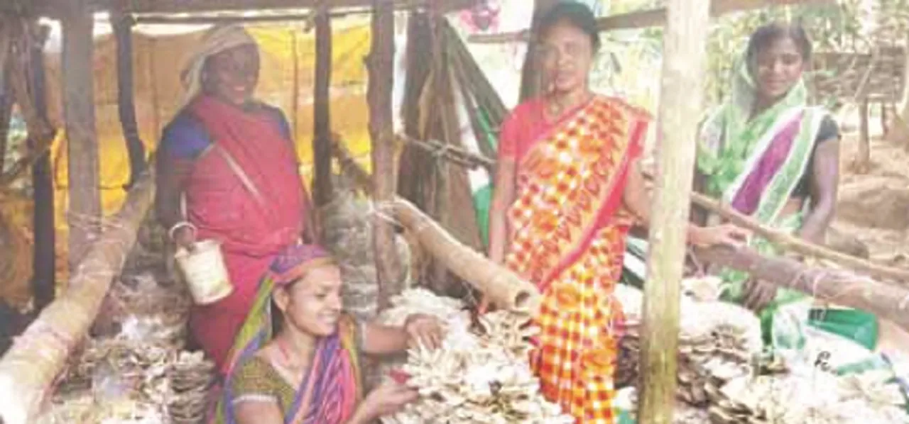  ଉପାନ୍ତରେ ଆଶାର ଆଲୋକ ଚନ୍ଦ୍ରମଣି ଜାନୀ : ସାଜିଛନ୍ତି ବୟସ୍କାଙ୍କ ଆଶା‌ବାଡ଼ି, ଯୋଗାଇ ଦେଉଛନ୍ତି କର୍ମସଂସ୍ଥାନ