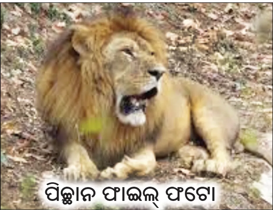  ଆଜି ନନ୍ଦନକାନନର ୬୦ତମ ପ୍ରତିଷ୍ଠା ଦିବସ: କ୍ରମାଗତ ଭାବେ କମୁଛି ବିରଳ ପ୍ରଜାତି ପ୍ରାଣୀଙ୍କ ସଂଖ୍ୟା